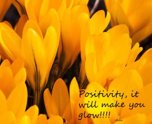 positivity crocus